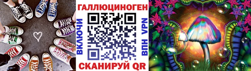блэк спрут онион  где найти   Карпинск  Псилоцибиновые грибы Psilocybine cubensis 